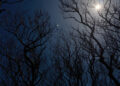 SCI DARKSKY SCOTLAND cztq facebookJumbo
