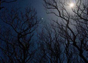 SCI DARKSKY SCOTLAND cztq facebookJumbo