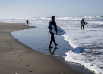 SurferSewage BL x