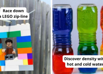 th grade science projects