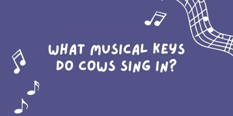Cheesy Music Jokes Feature