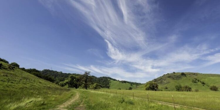 Coyote Valley Landscapes DN x