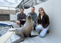 DancingSeaLion x