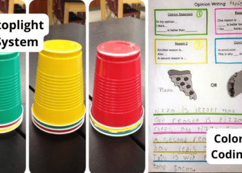 Differentiated Instruction Strategies