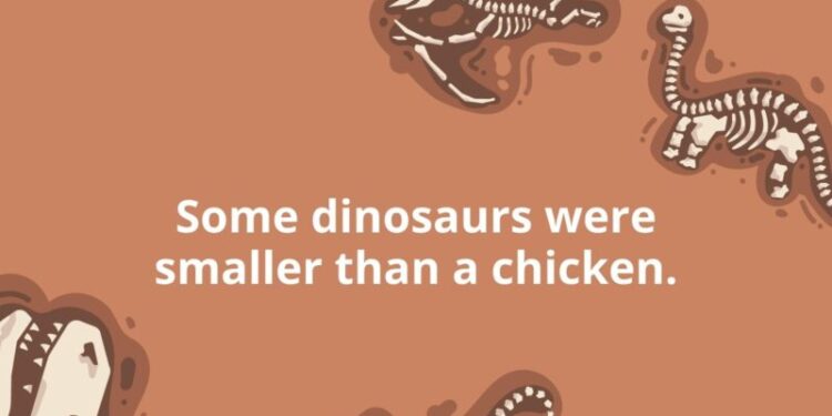 Dinosaur Facts Feature