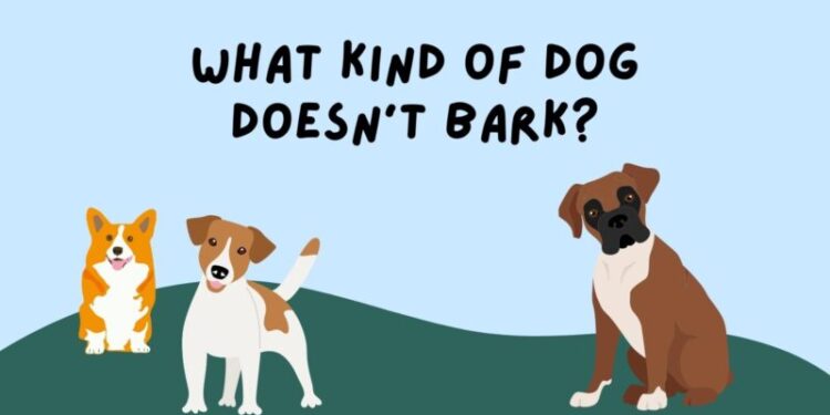 Dog Jokes Feature