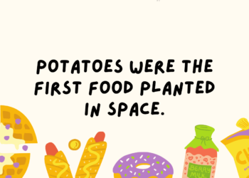 Food Facts Feature