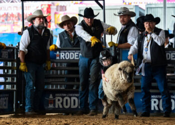 Houston Rodeo gpbk facebookJumbo