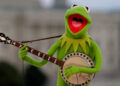 KERMIT DISAPPOINTMENT kcqf facebookJumbo