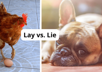 Lay vs Lie Featured