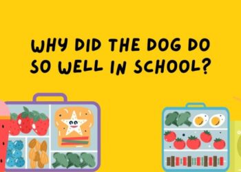 Lunchbox Jokes Feature