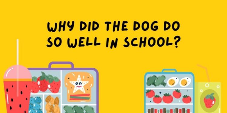 Lunchbox Jokes Feature - Planeticnet | Education