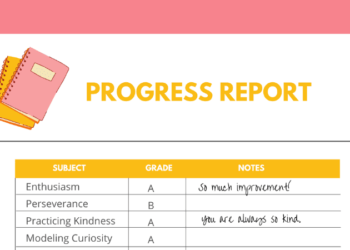 Progress report FI