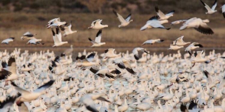 RS GettyImages qut x - Planeticnet | Education