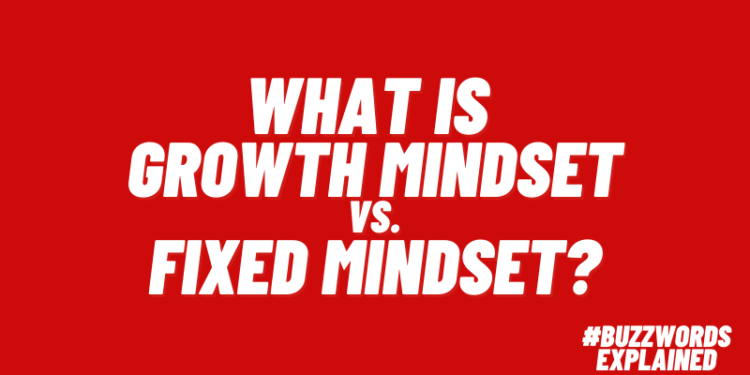 What is Growth Mindset vs Fixed Mindset