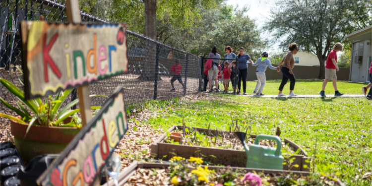 earth day activities for elementary and middle school students - Planeticnet | Education