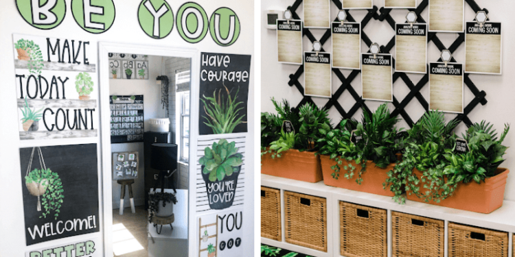 nature themed classroom