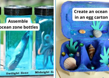 ocean activities