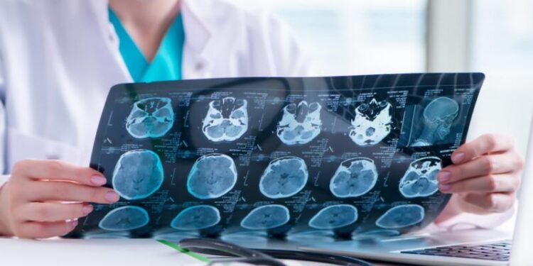 shutterstock - Planeticnet | Education
