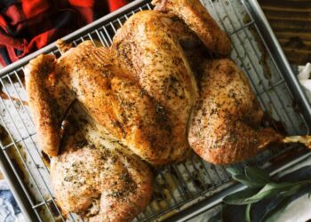 splatchcock turkey f d e f df de a aa cceeff x