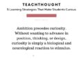 strategies for curiosity learning