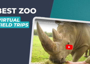 virtual zoo field trips