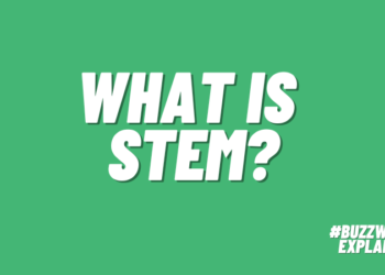 what is stem